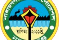 ইতিহাসের সর্বোচ্চ বাজেটে উদ্বৃত্ত কেন?