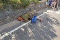 স্টেডিয়ামের সামনে গাড়ি চাপায় মৃত্যু