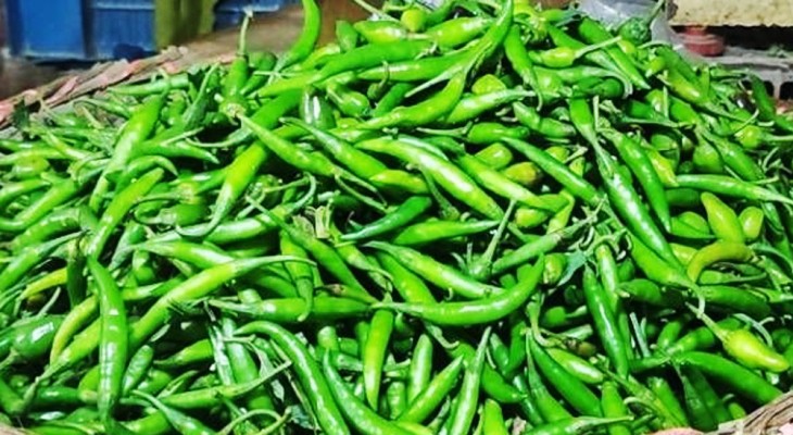 কাঁচা মরিচ আমদানির অনুমতি