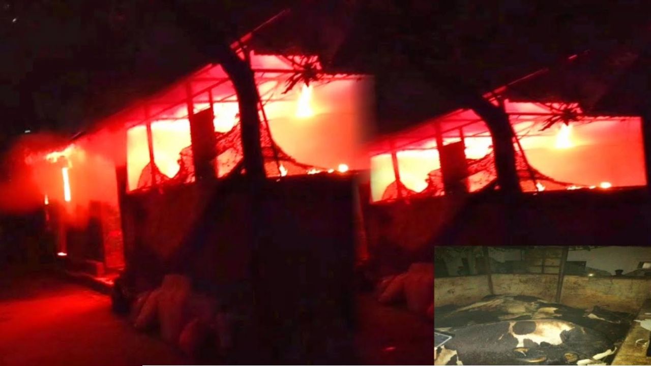 সিদ্ধিরগঞ্জে ভয়াবহ অগ্নিকাণ্ড
