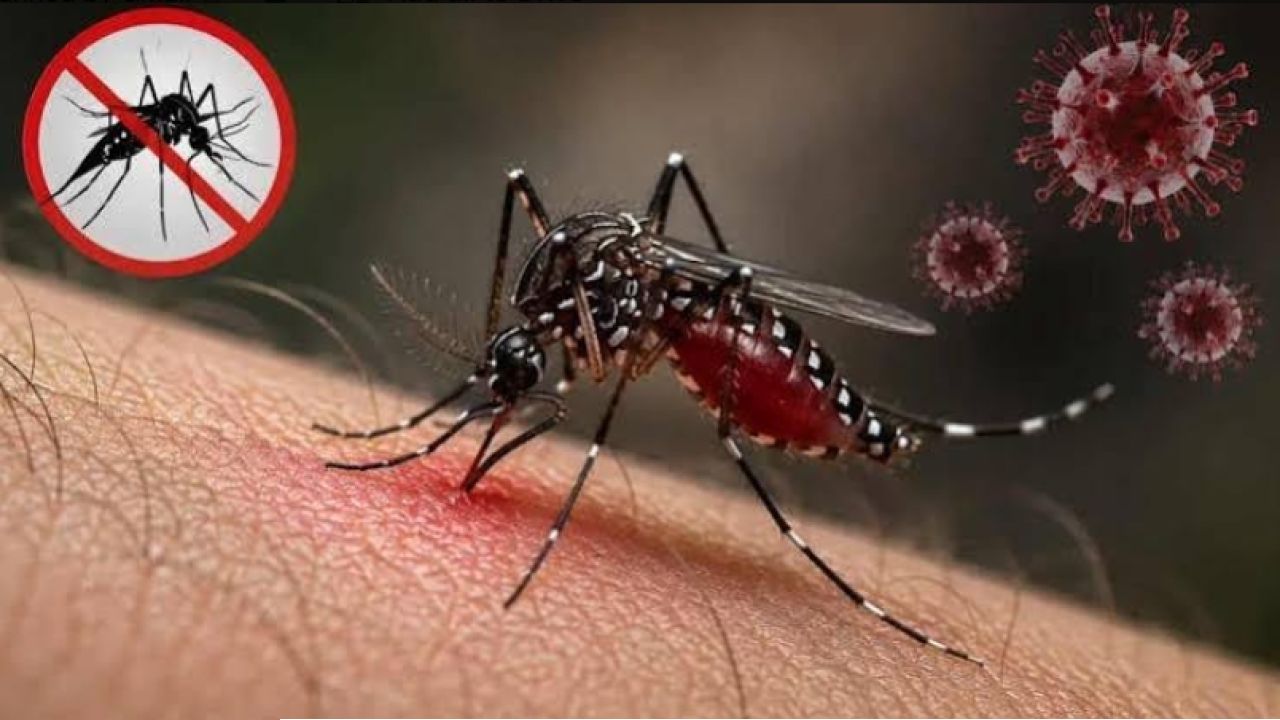 ডেঙ্গুতে তিনজনের মৃত্যু