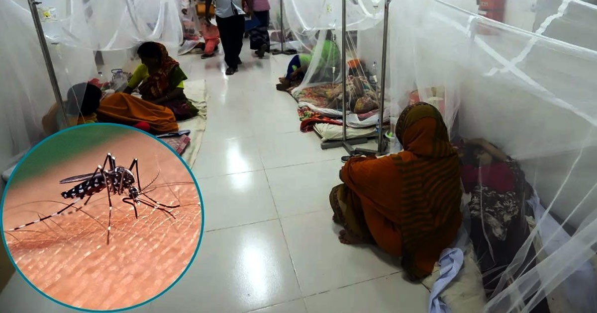 ডেঙ্গুতে হাসপাতালে ভর্তি লাখ ছাড়াল